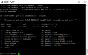 pfsense-console